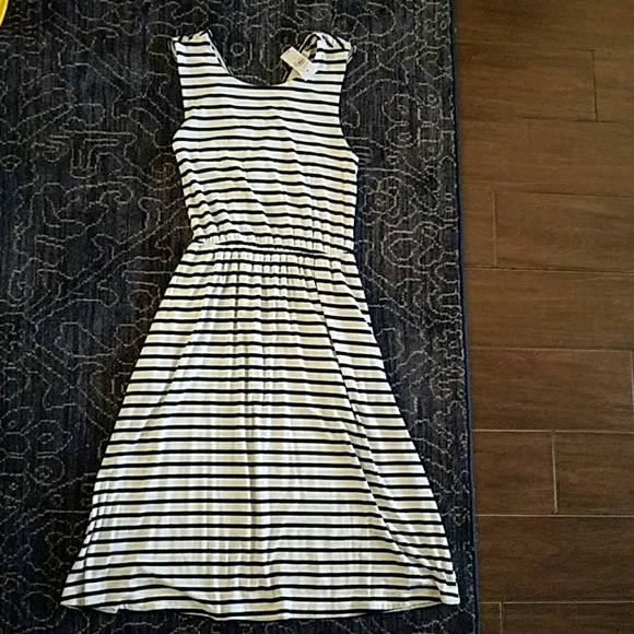LOFT Dresses & Skirts - Ann Taylor Loft Dress